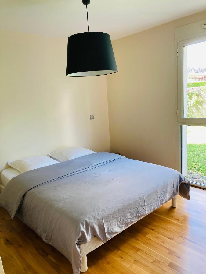A Deux Pas Du Lac Et Ville Apartment Annecy Luaran gambar